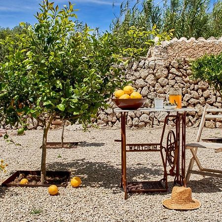 Agroturismo Turmaden Des Capita Alaior Zewnętrze zdjęcie